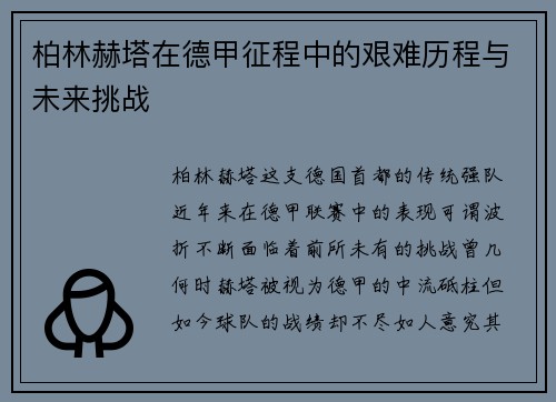 柏林赫塔在德甲征程中的艰难历程与未来挑战